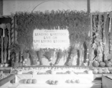 Carrigen Collection (P86-19)