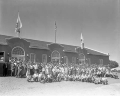 Carrigen Collection (P86-19)