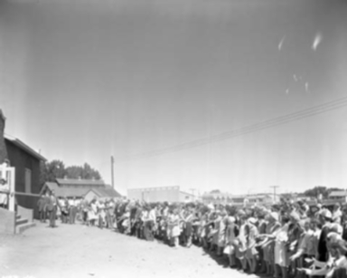 Carrigen Collection (P86-19)