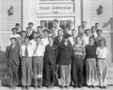 Carrigen Collection (P86-19)