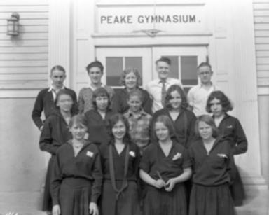 Carrigen Collection (P86-19)