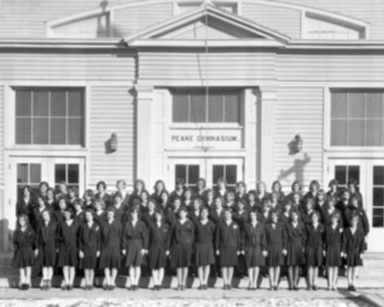 Carrigen Collection (P86-19)