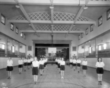 Carrigen Collection (P86-19)