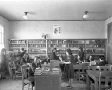 Carrigen Collection (P86-19)