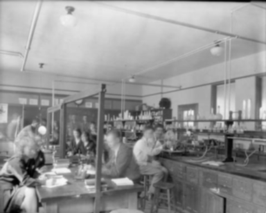 Carrigen Collection (P86-19)