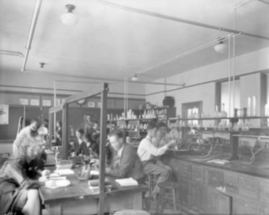 Carrigen Collection (P86-19)